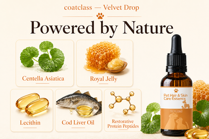 coatclass Velvet Drop — Natural ingredients for pet care